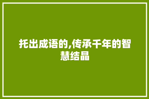 托出成语的,传承千年的智慧结晶 社交媒体