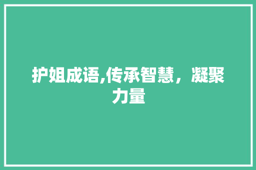 护姐成语,传承智慧，凝聚力量 会议纪要