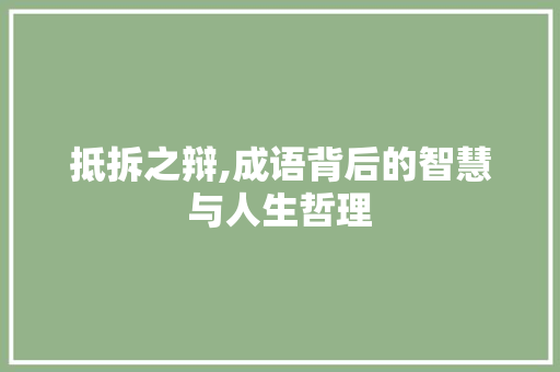 抵拆之辩,成语背后的智慧与人生哲理 会议纪要