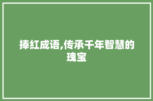 捧红成语,传承千年智慧的瑰宝 社交媒体
