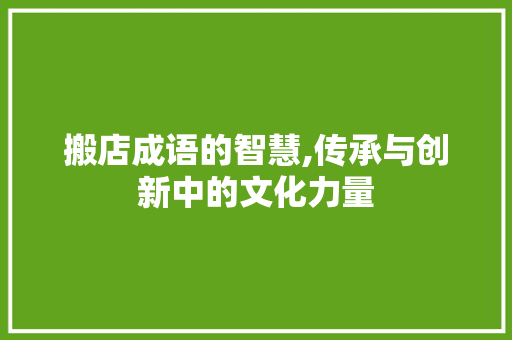 搬店成语的智慧,传承与创新中的文化力量 应用文