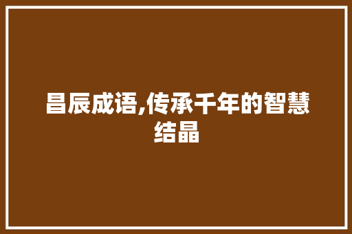 昌辰成语,传承千年的智慧结晶 项目报告