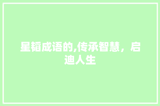 星韬成语的,传承智慧，启迪人生 会议纪要