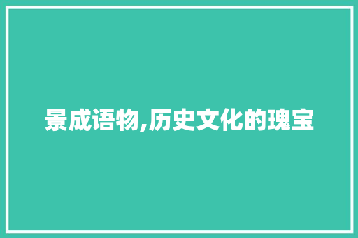 景成语物,历史文化的瑰宝 工作总结