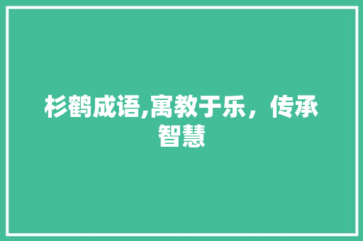 杉鹤成语,寓教于乐，传承智慧 诗词鉴赏