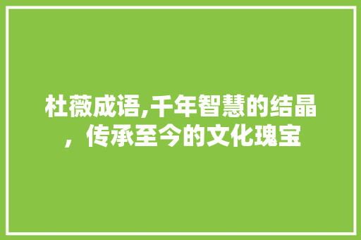 杜薇成语,千年智慧的结晶，传承至今的文化瑰宝 工作总结