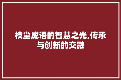 枝尘成语的智慧之光,传承与创新的交融 会议纪要