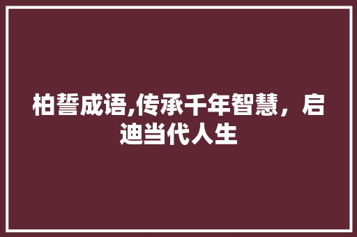 柏誓成语,传承千年智慧，启迪当代人生 诗词鉴赏
