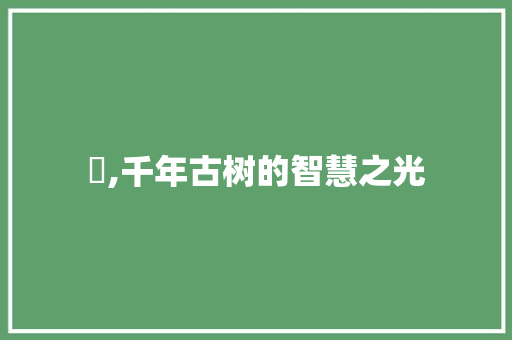 棈,千年古树的智慧之光