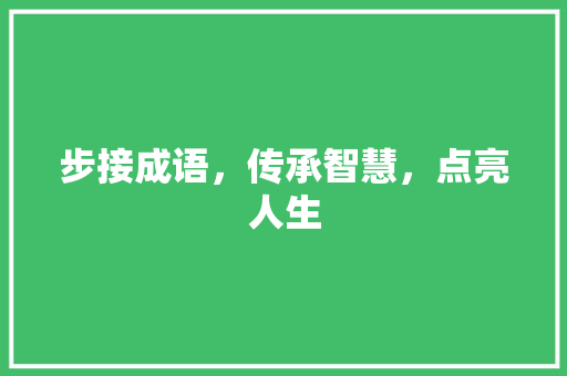 步接成语，传承智慧，点亮人生 工作总结