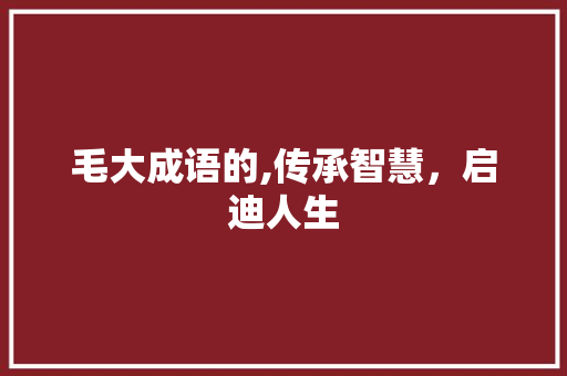毛大成语的,传承智慧，启迪人生