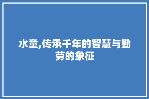 水童,传承千年的智慧与勤劳的象征 项目报告