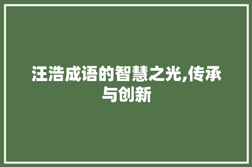 汪浩成语的智慧之光,传承与创新 诗词鉴赏