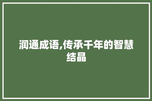 润通成语,传承千年的智慧结晶
