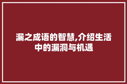 漏之成语的智慧,介绍生活中的漏洞与机遇
