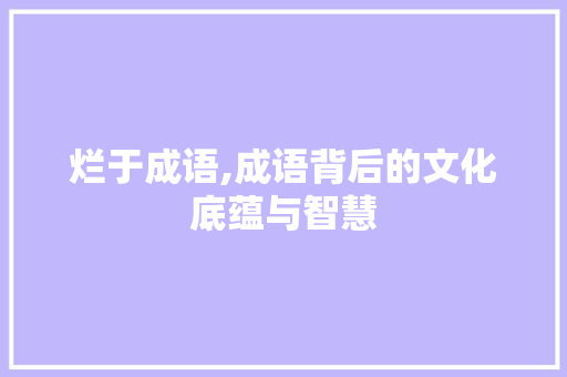 烂于成语,成语背后的文化底蕴与智慧