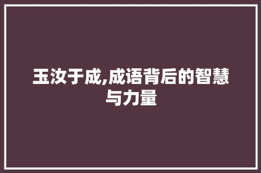 玉汝于成,成语背后的智慧与力量 社交媒体
