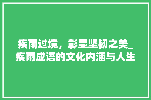 疾雨过境，彰显坚韧之美_疾雨成语的文化内涵与人生哲理 社交媒体