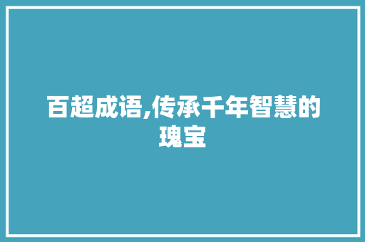 百超成语,传承千年智慧的瑰宝 工作总结