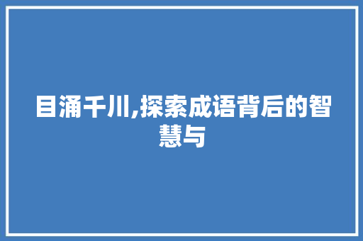 目涌千川,探索成语背后的智慧与