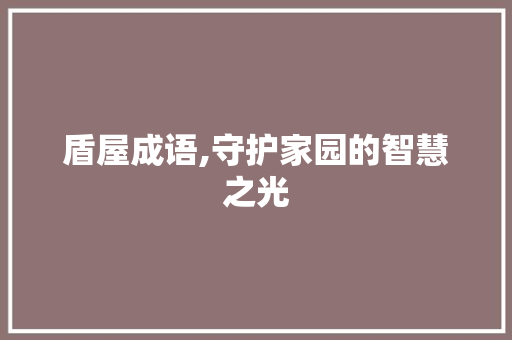 盾屋成语,守护家园的智慧之光