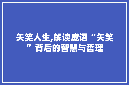 矢笑人生,解读成语“矢笑”背后的智慧与哲理 项目报告