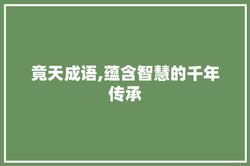竟天成语,蕴含智慧的千年传承 应用文