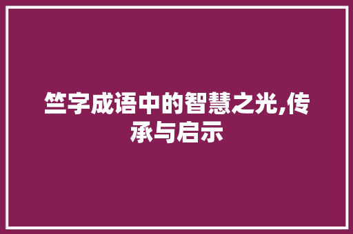 竺字成语中的智慧之光,传承与启示 应用文