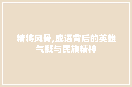 精将风骨,成语背后的英雄气概与民族精神