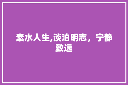 素水人生,淡泊明志，宁静致远
