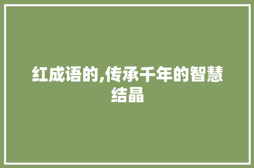 红成语的,传承千年的智慧结晶 工作总结