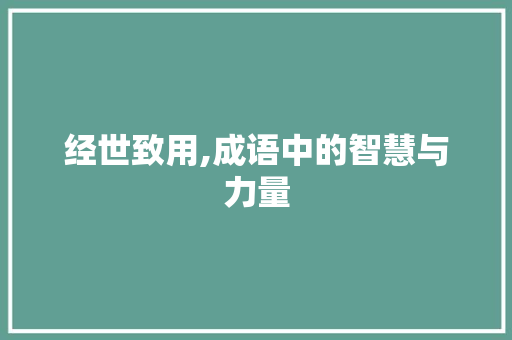 经世致用,成语中的智慧与力量