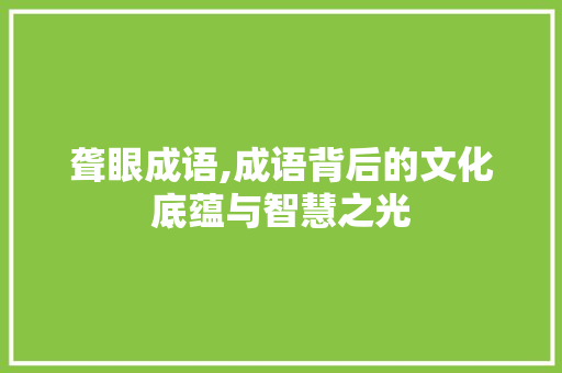 聋眼成语,成语背后的文化底蕴与智慧之光 应用文