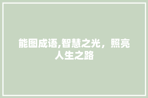 能图成语,智慧之光，照亮人生之路