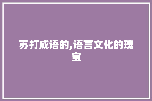 苏打成语的,语言文化的瑰宝