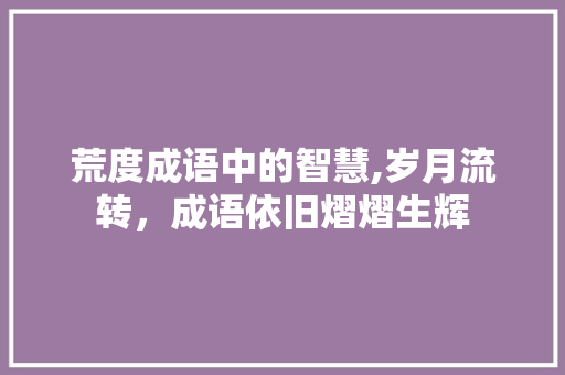 荒度成语中的智慧,岁月流转，成语依旧熠熠生辉 职场写作