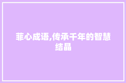 菲心成语,传承千年的智慧结晶