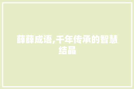 薛薛成语,千年传承的智慧结晶