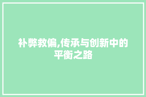补弊救偏,传承与创新中的平衡之路