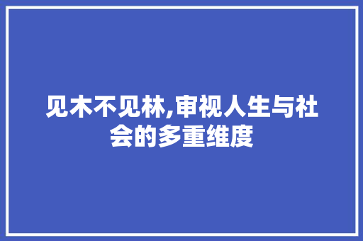 见木不见林,审视人生与社会的多重维度