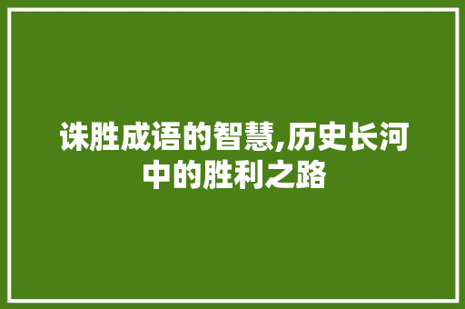 诛胜成语的智慧,历史长河中的胜利之路