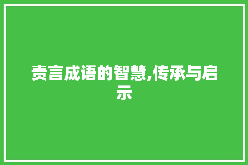 责言成语的智慧,传承与启示