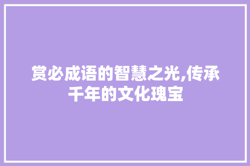 赏必成语的智慧之光,传承千年的文化瑰宝