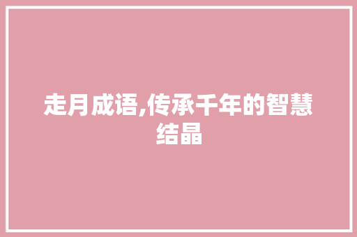走月成语,传承千年的智慧结晶