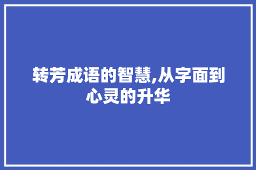 转芳成语的智慧,从字面到心灵的升华
