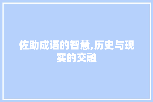 佐助成语的智慧,历史与现实的交融 会议纪要