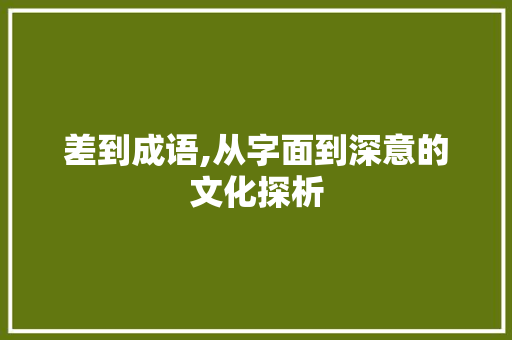 差到成语,从字面到深意的文化探析 工作总结