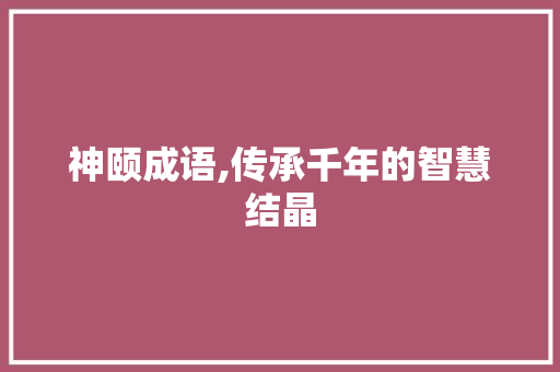 神颐成语,传承千年的智慧结晶