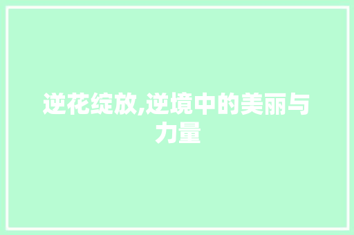 逆花绽放,逆境中的美丽与力量