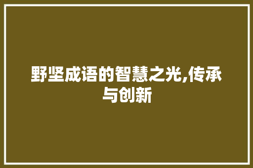 野坚成语的智慧之光,传承与创新
